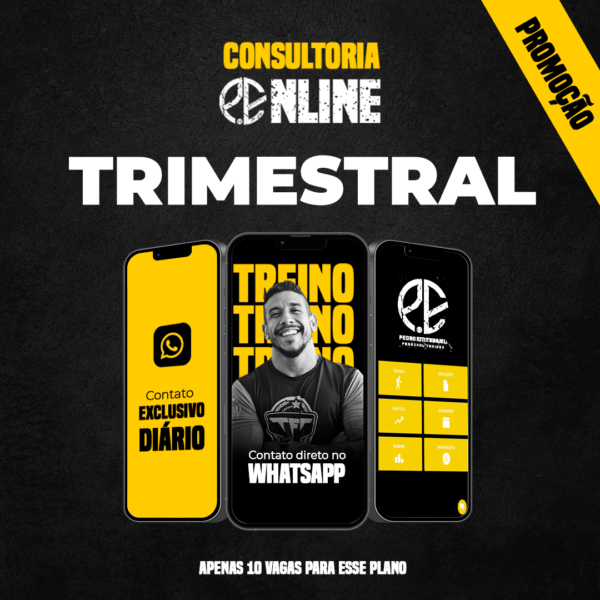 Consultoria Online - Trimestral